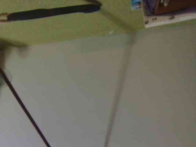 high-lavie webcam