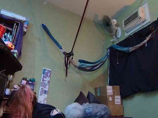 high-lavie webcam