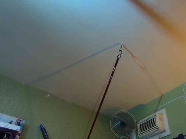 high-lavie webcam