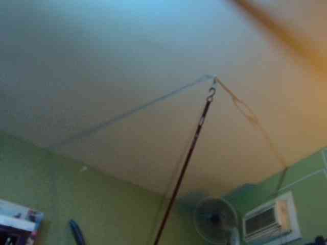 high-lavie webcam