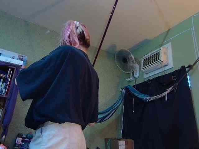 high-lavie webcam