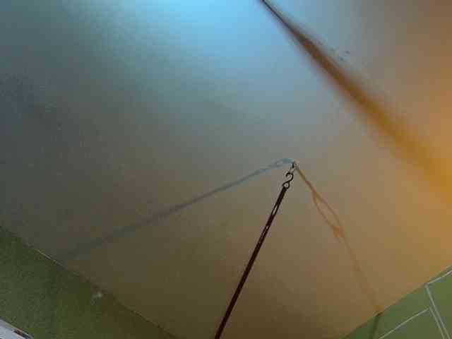 high-lavie webcam