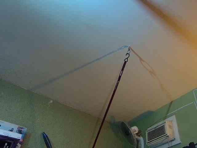 high-lavie webcam