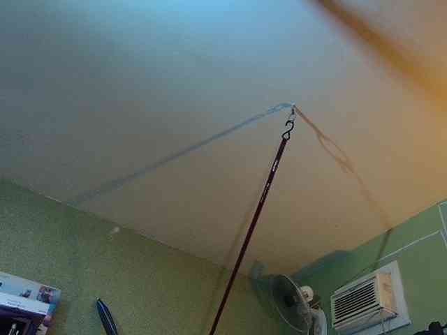 high-lavie webcam