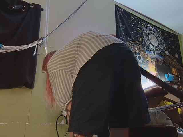 high-lavie webcam