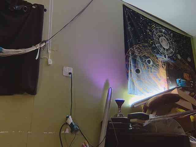 high-lavie