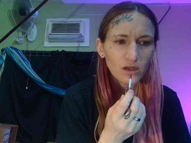 high-lavie webcam