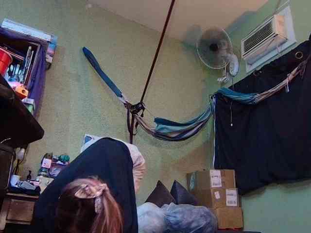 high-lavie webcam