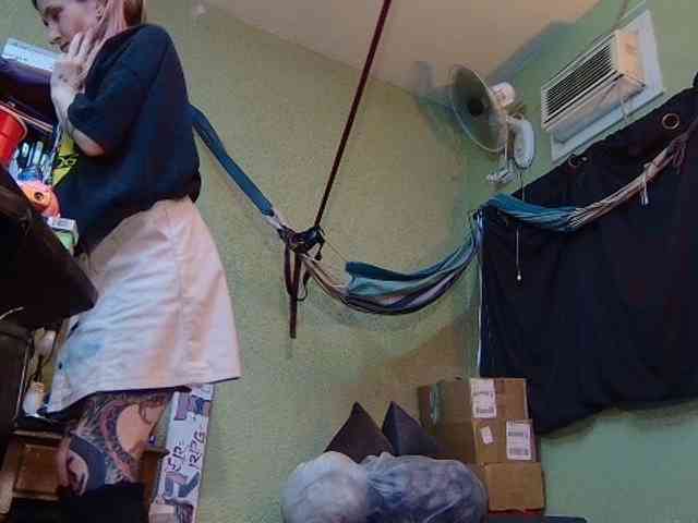 high-lavie webcam