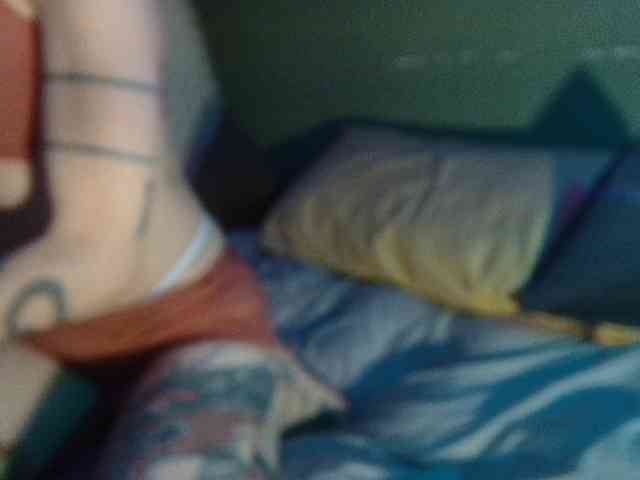 high-lavie webcam