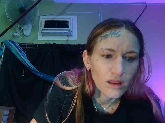 high-lavie webcam