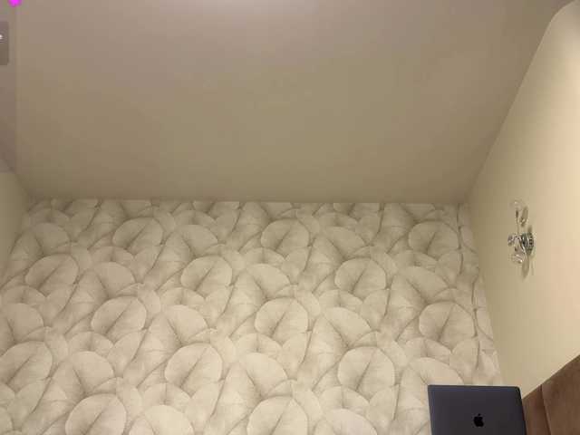 ladyeva's BongaCams show and profile