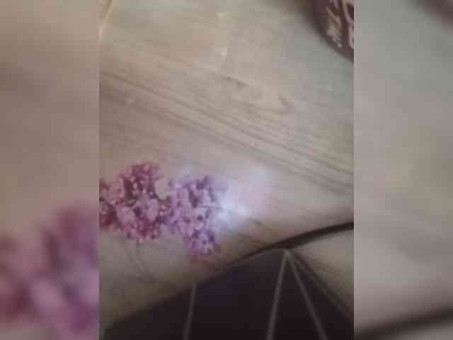 MyLady webcam