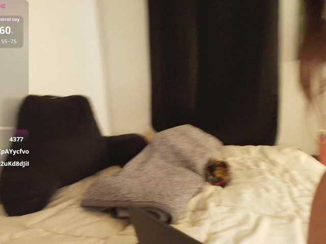Milaseren live cam on BongaCams