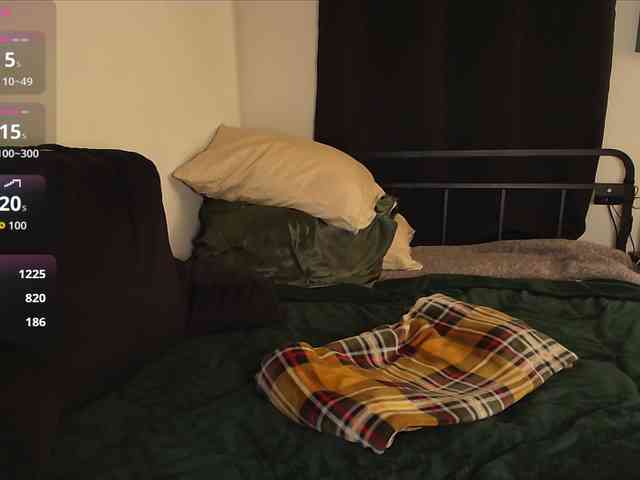 Milaseren webcam