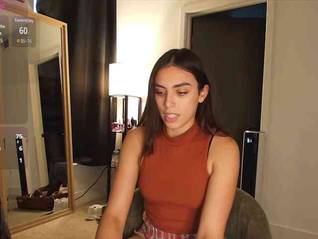 Milaseren webcam