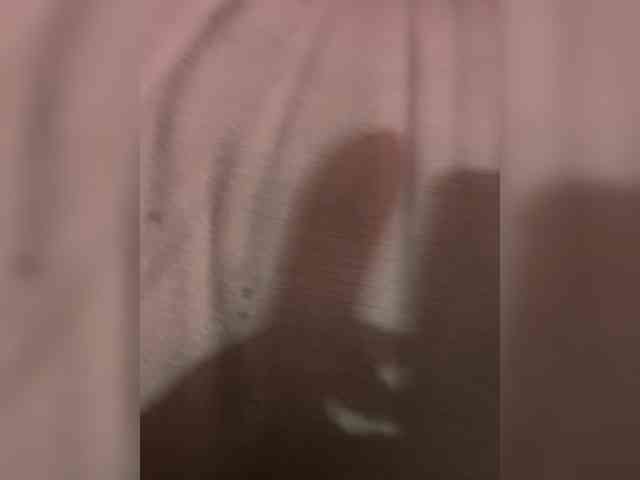Family707 webcam