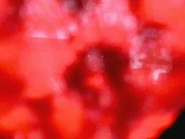 CrystalWomenX webcam