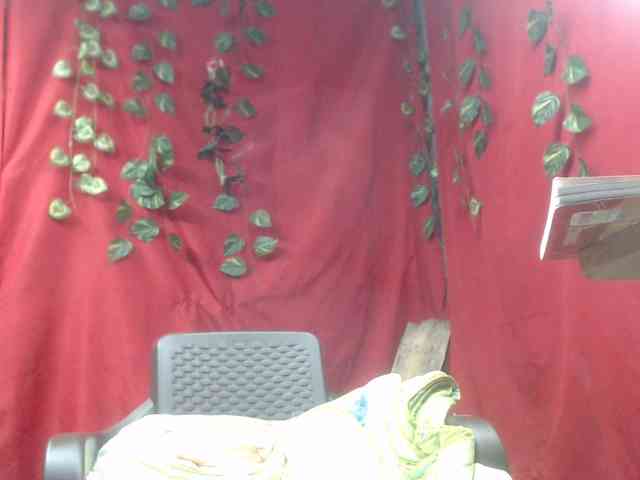 veropatrifire Live Webcam on BongaCams