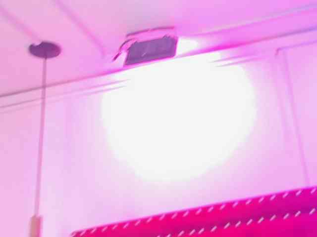 Rin-nohara webcam