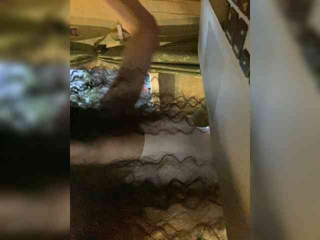 sweet-space8899-9988-1 webcam