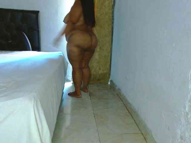 Aleja-wish webcam