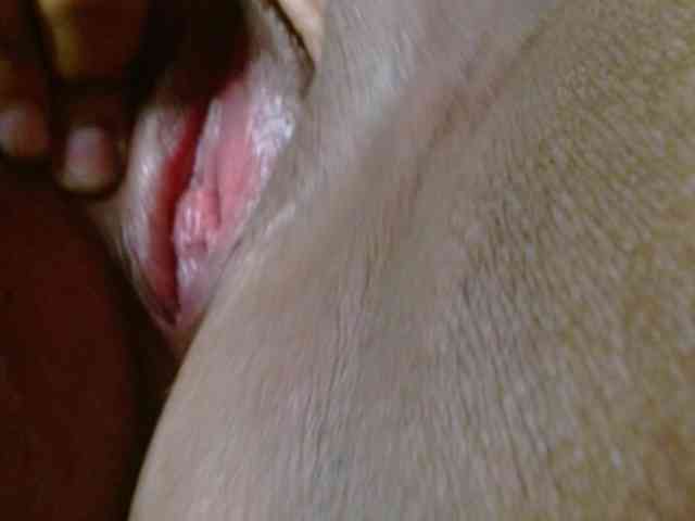 Aleja-wish webcam