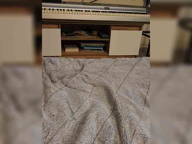 Lyoublue webcam