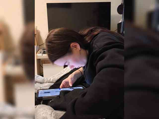 Lyoublue webcam