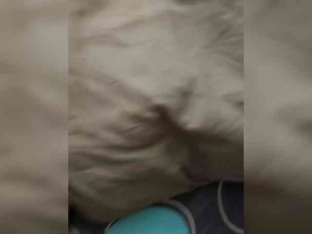 Lyoublue webcam