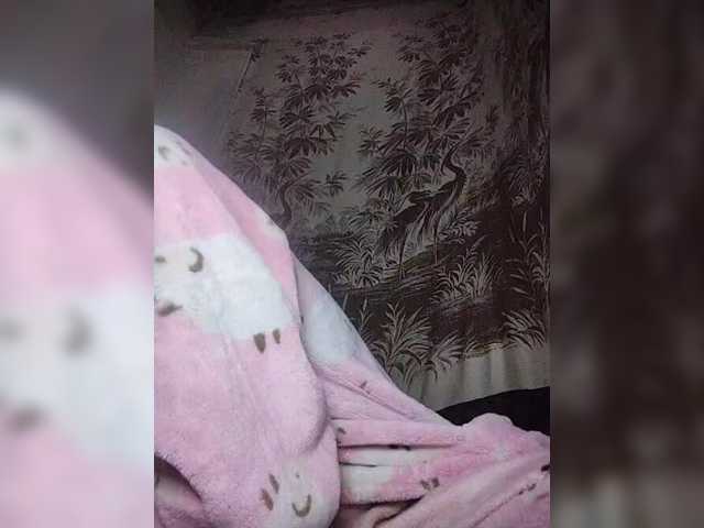 Stella11 live cam preview