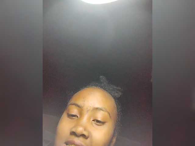 Stella11