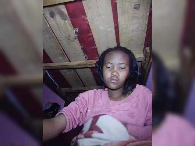 Stella11