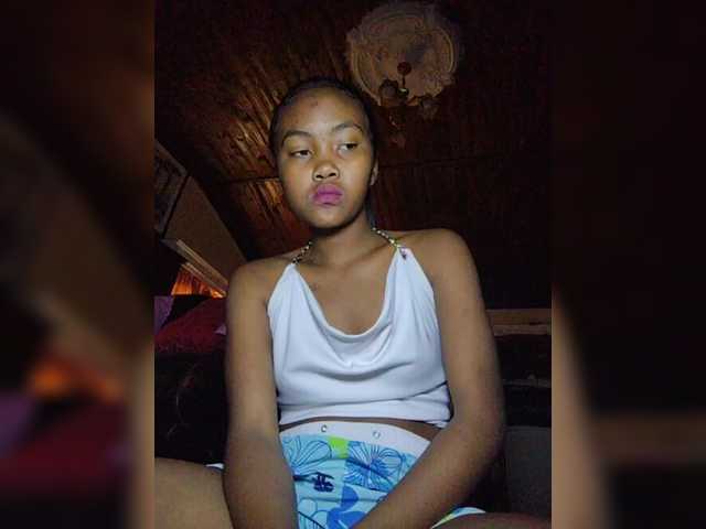 Stella11 webcam