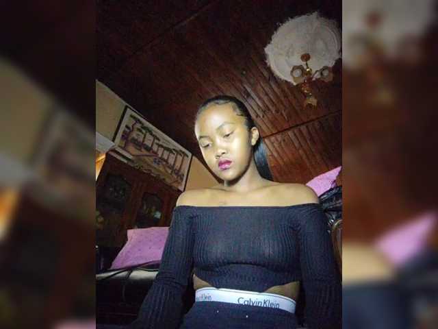 Stella11 webcam
