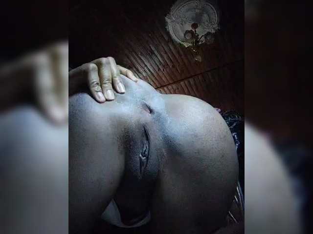 Stella11
