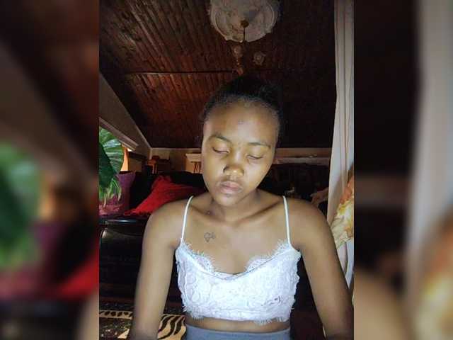 Stella11 Live Cam and Statistics on UnifiedCams