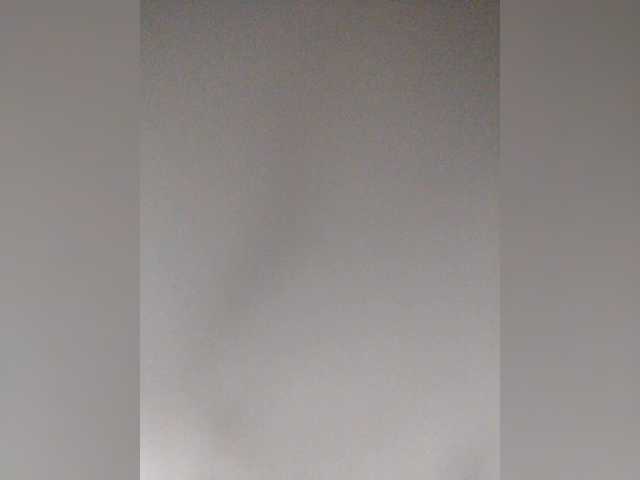 Stella11