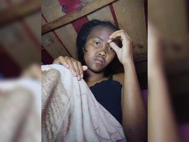 Stella11