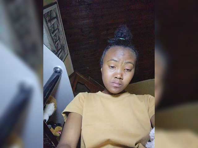 Stella11