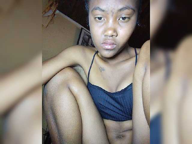 Stella11