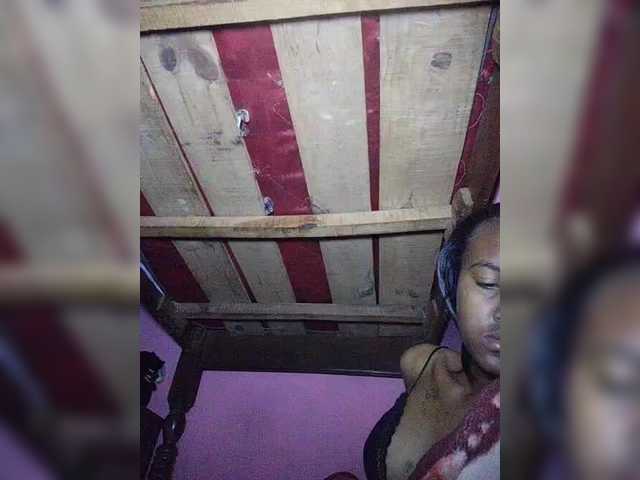 Stella11