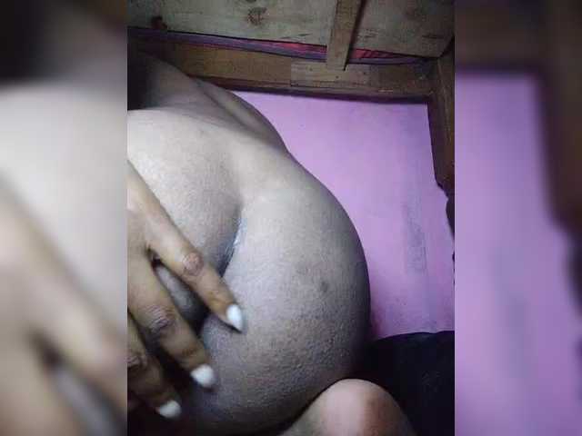 Stella11
