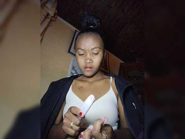 Stella11