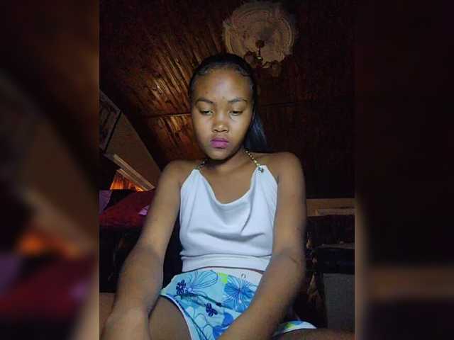 Stella11 webcam