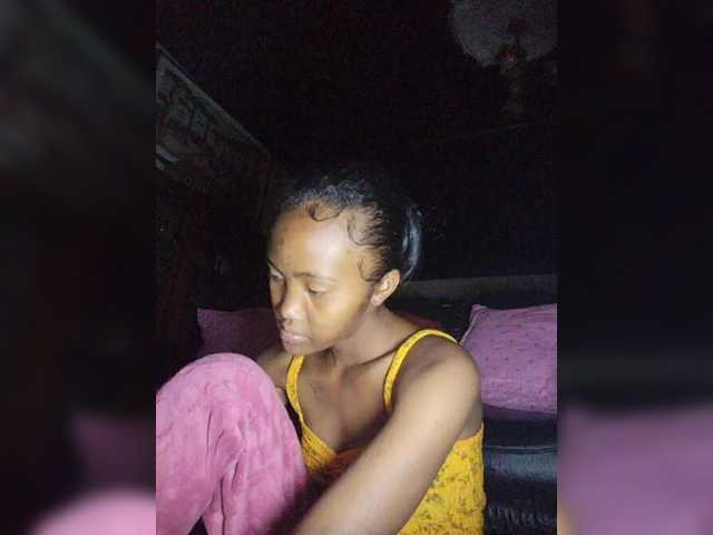 Stella11 webcam