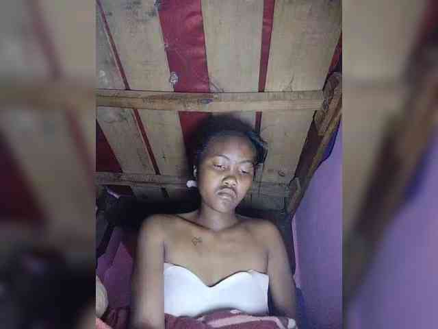 Stella11 webcam