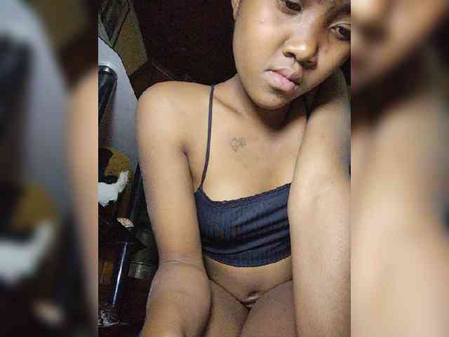 Stella11 webcam