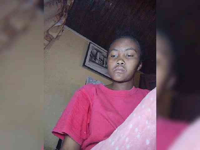Stella11 webcam
