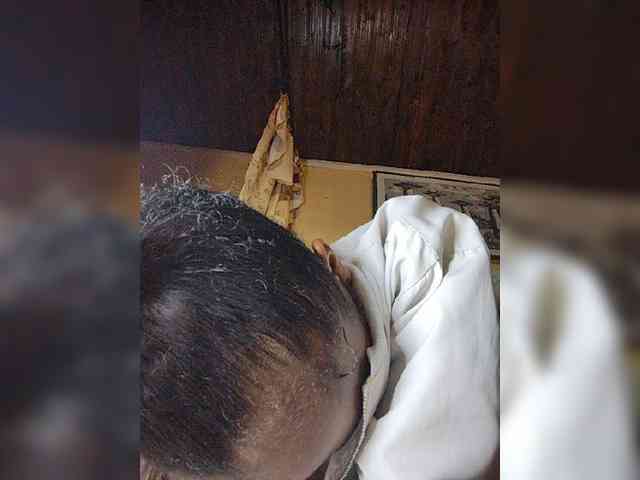 Stella11 webcam